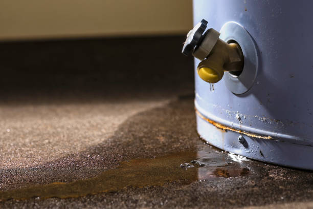 Best Sewage cleanup and water damage restoration  in Milan, NM
