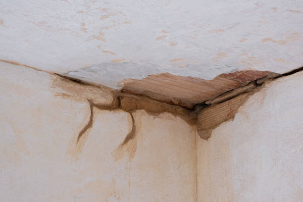 Best Water damage restoration cost  in Milan, NM
