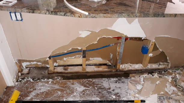 Best Water damage restoration insurance claims  in Milan, NM