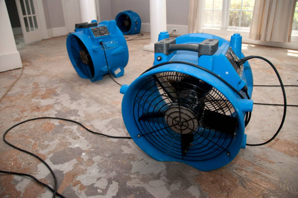 Water damage restoration mold remediation in NM