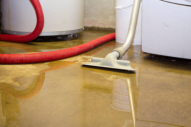 Best 24-hour water damage restoration  in Milan, NM