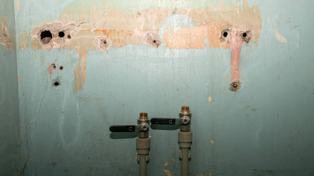 Best Water damage repair service  in Milan, NM