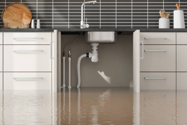 Best Emergency water damage restoration  in Milan, NM