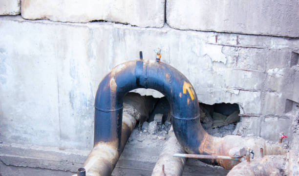 Best Local water damage restoration  in Milan, NM