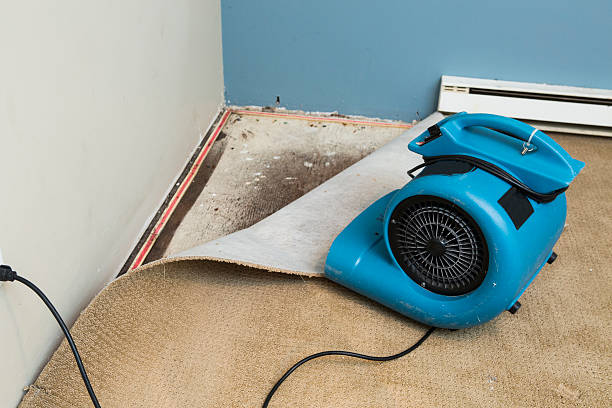 Best 24-hour water damage restoration  in Milan, NM
